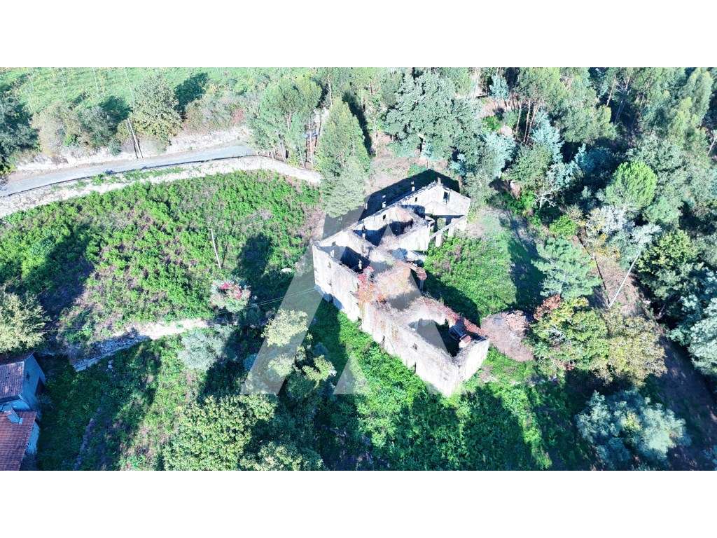 Quinta com 24.203 m² e Ruína em Pedra de 404 m² | Santa Maria de Bo... - Grande imagem: 2/29