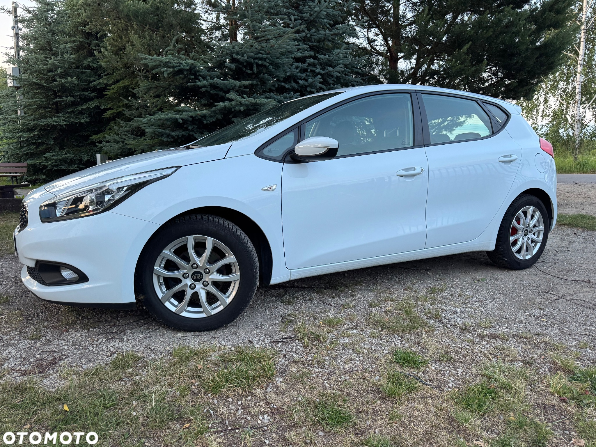 Kia Ceed - 20