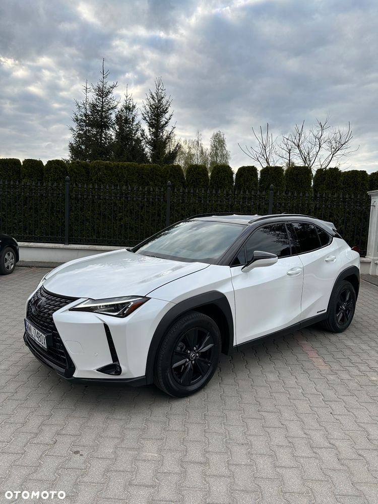 Lexus UX 250h Executive Line - 37