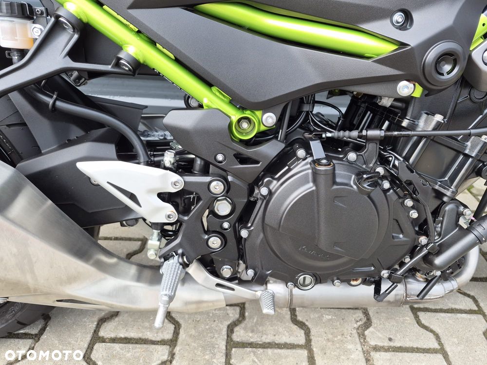 Kawasaki Z - 10