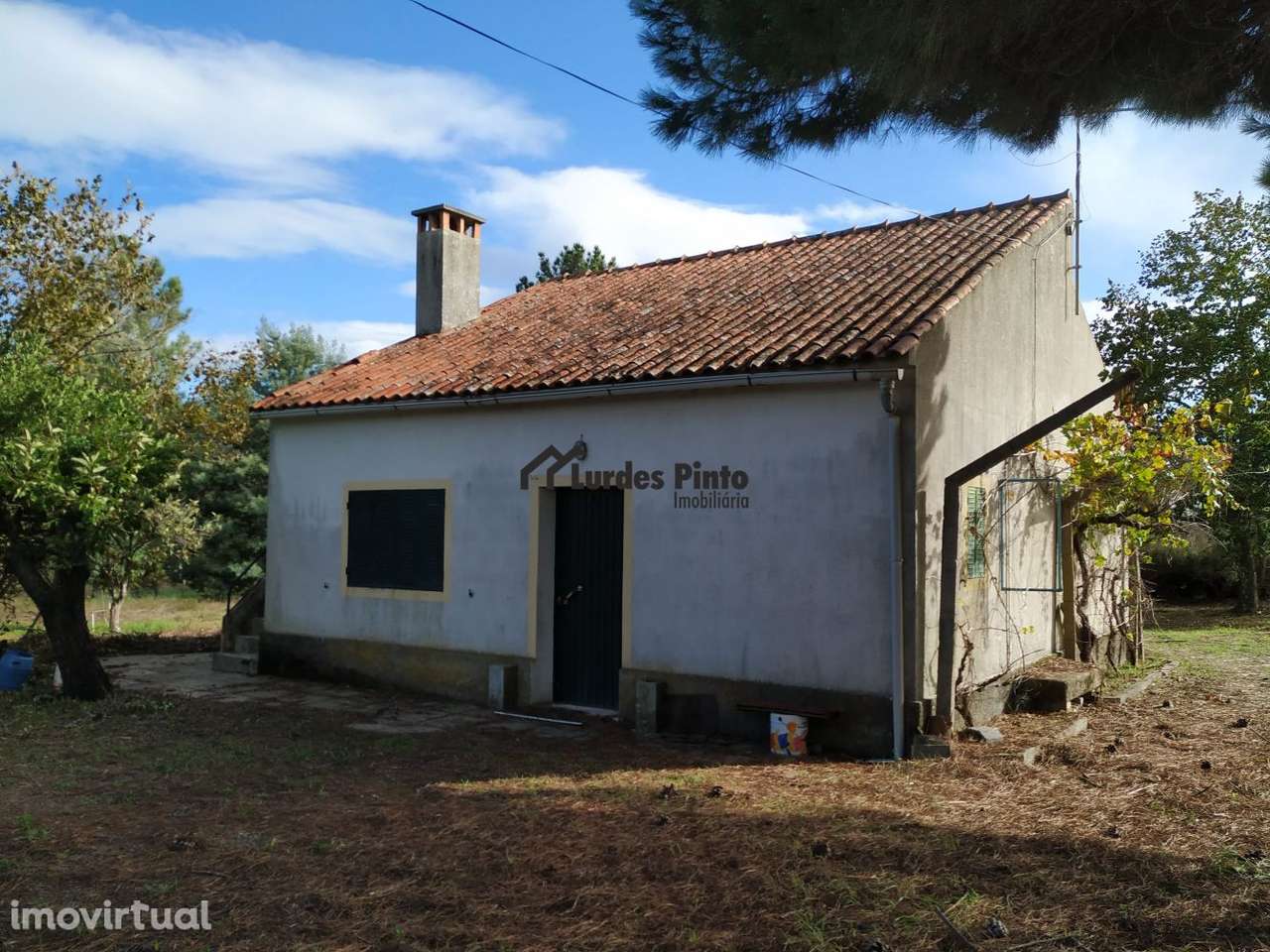 Excelente Quinta com habitação - Grande imagem: 3/29