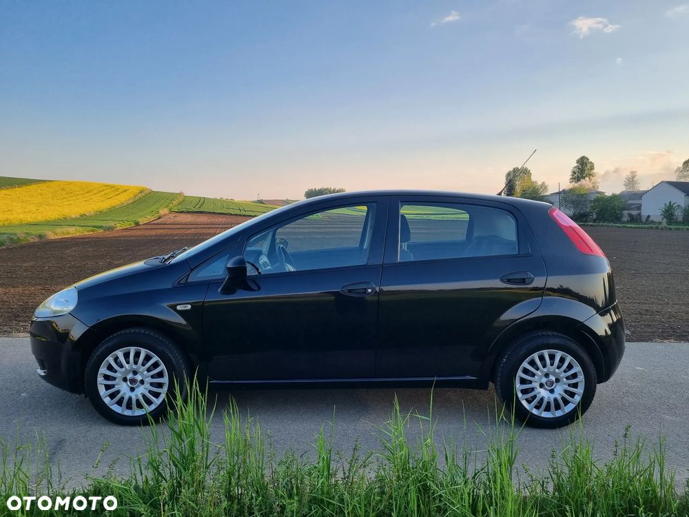 Fiat Punto - 5