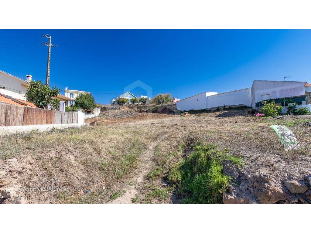 Terreno - Ericeira 3 km, A Casa das Casas - Grande imagem: 4/9
