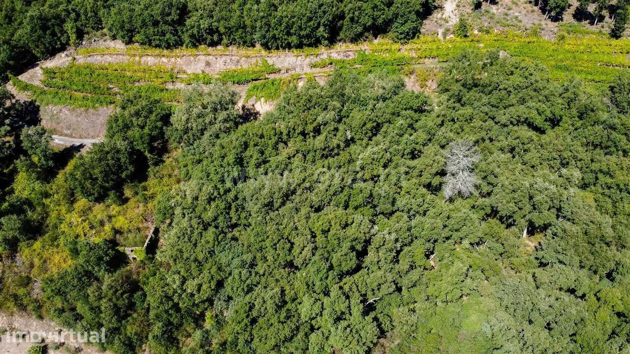 Quintinha / Baião, Santa Marinha do Zêzere - Grande imagem: 4/4