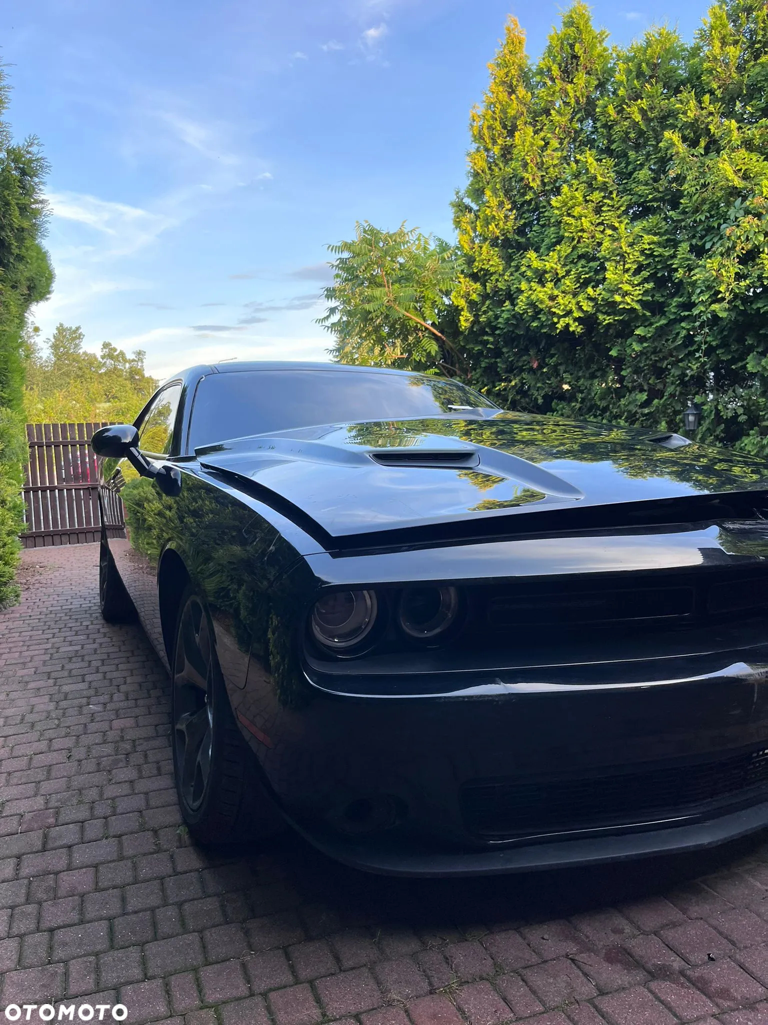 Dodge Challenger 3.6 SXT Plus - 4