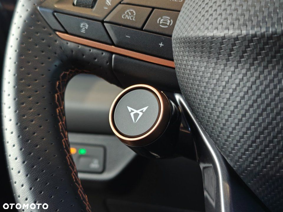 Cupra Terramar - 17