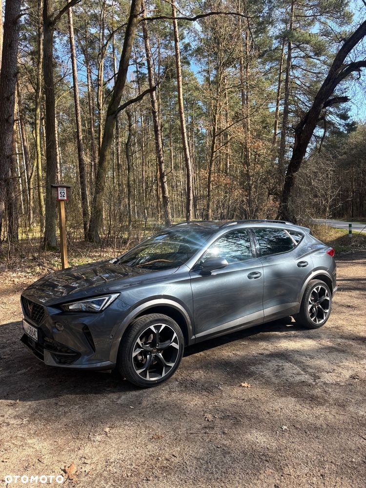 Cupra Formentor 2.0 TSI 4Drive DSG - 2