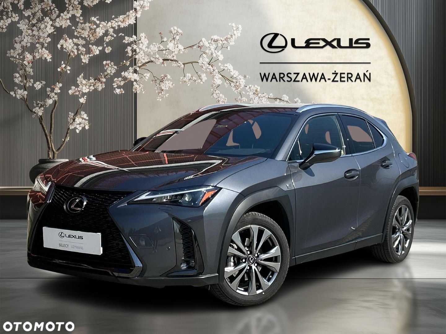 Lexus UX 250h GPF F Sport Design 2WD - 2