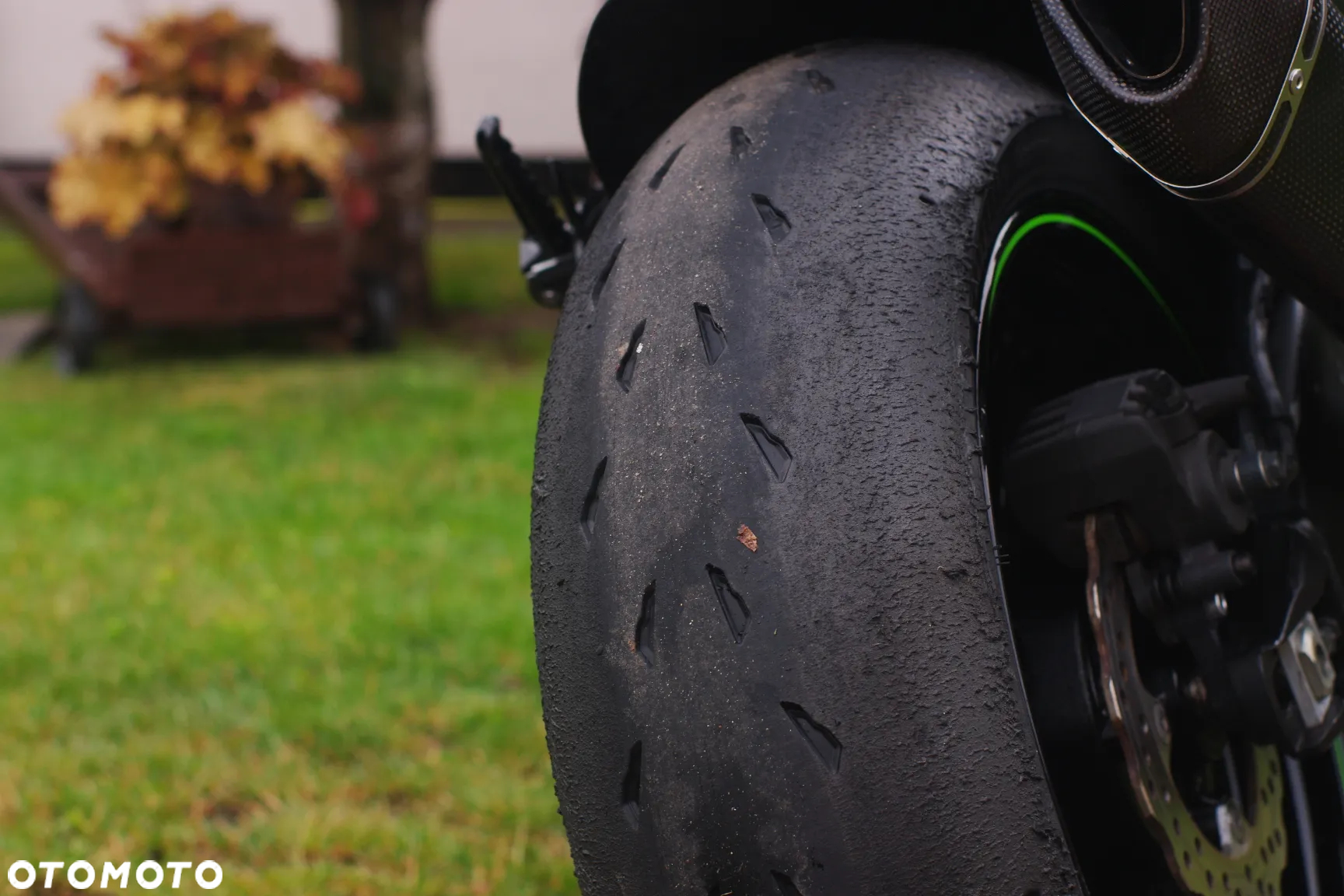 Kawasaki Ninja - 4
