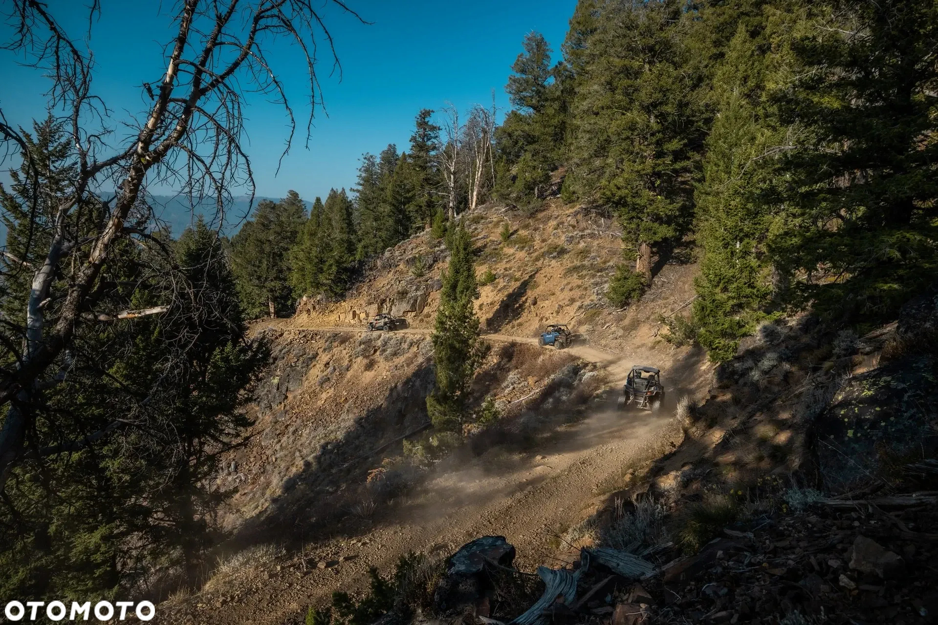 Polaris RZR - 28