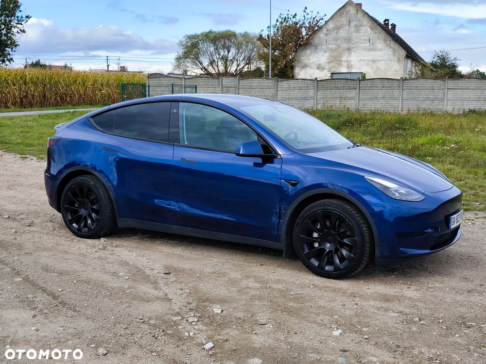 Tesla Model Y Standard - 2