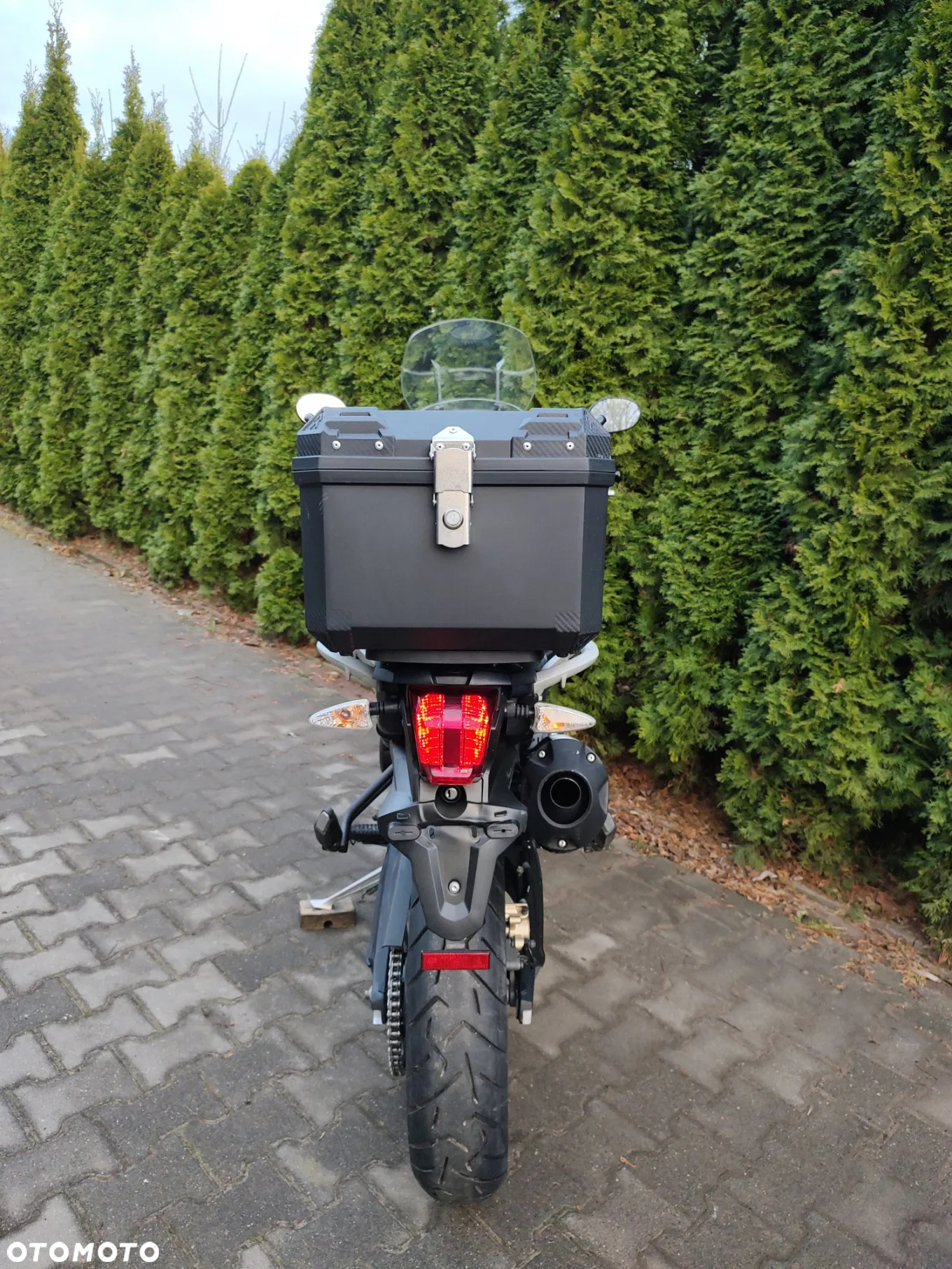 Triumph Tiger - 14