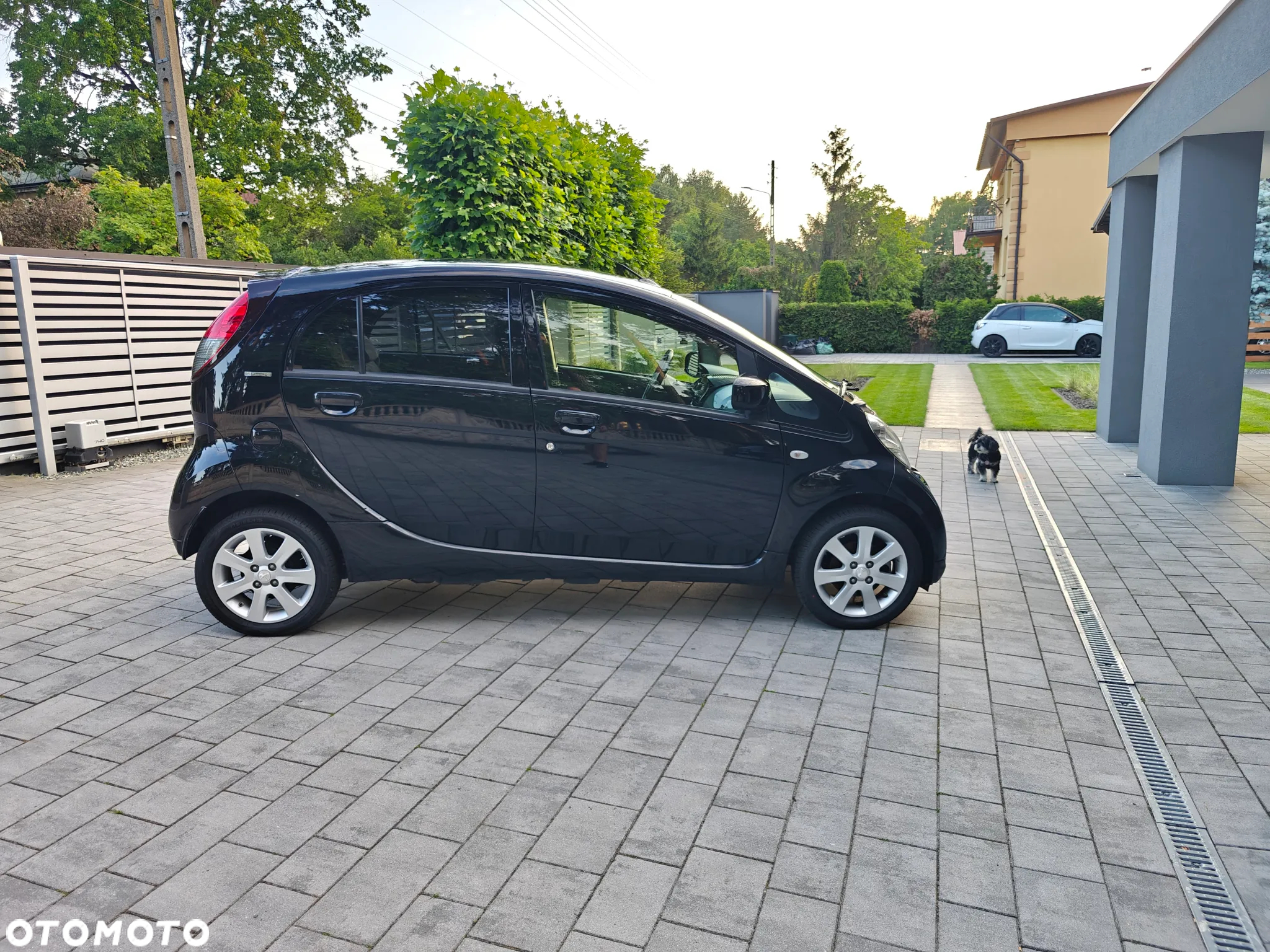 Peugeot iOn Standard - 5