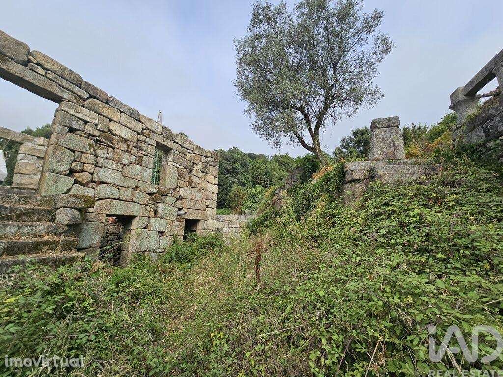 Propriedade T5 em Boelhe de 700,00 m2 - Grande imagem: 4/14