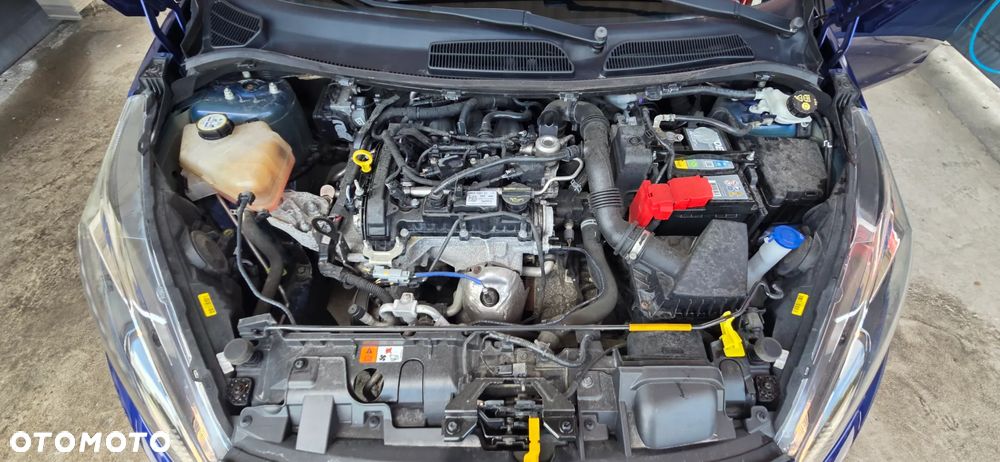 Ford Fiesta 1.0 Gold X EU6 - 33