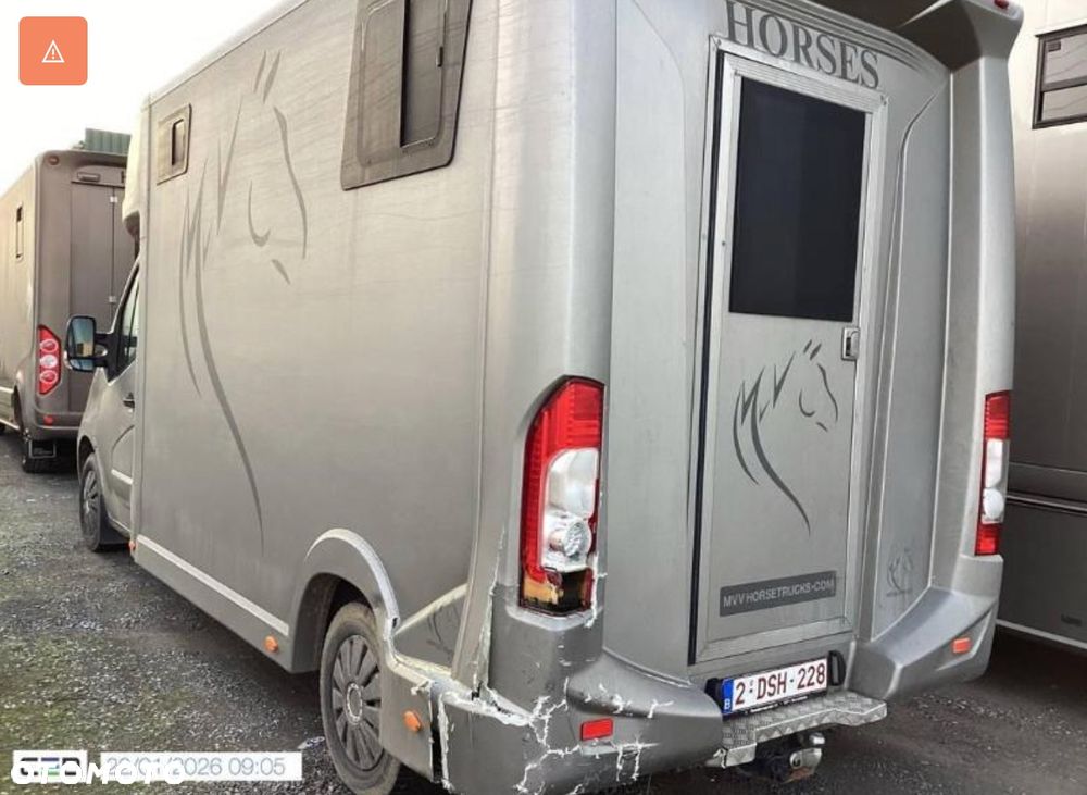 Opel MOVANO Koniowóz - 5