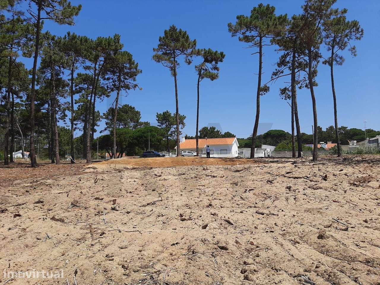 Terreno com Projeto Aprovado no Mucifal, Colares | 2.128 m2 | Moradia - Grande imagem: 4/34