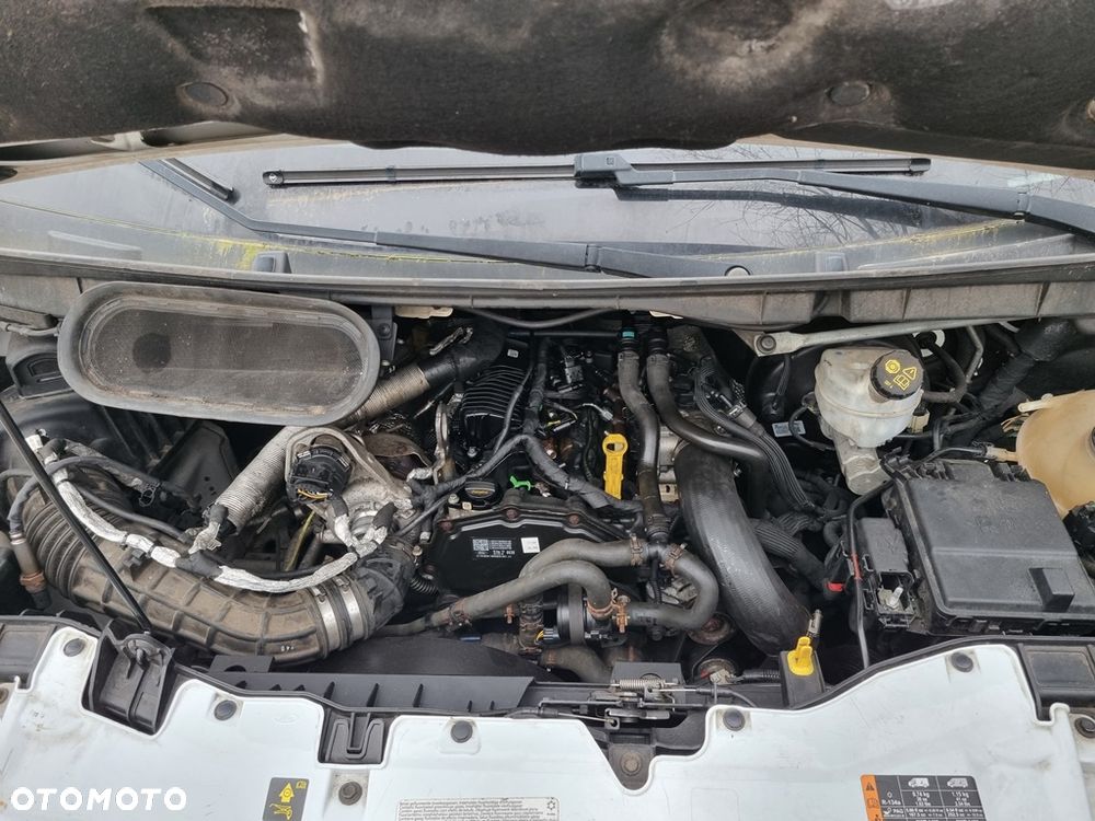 Ford Transit - 10