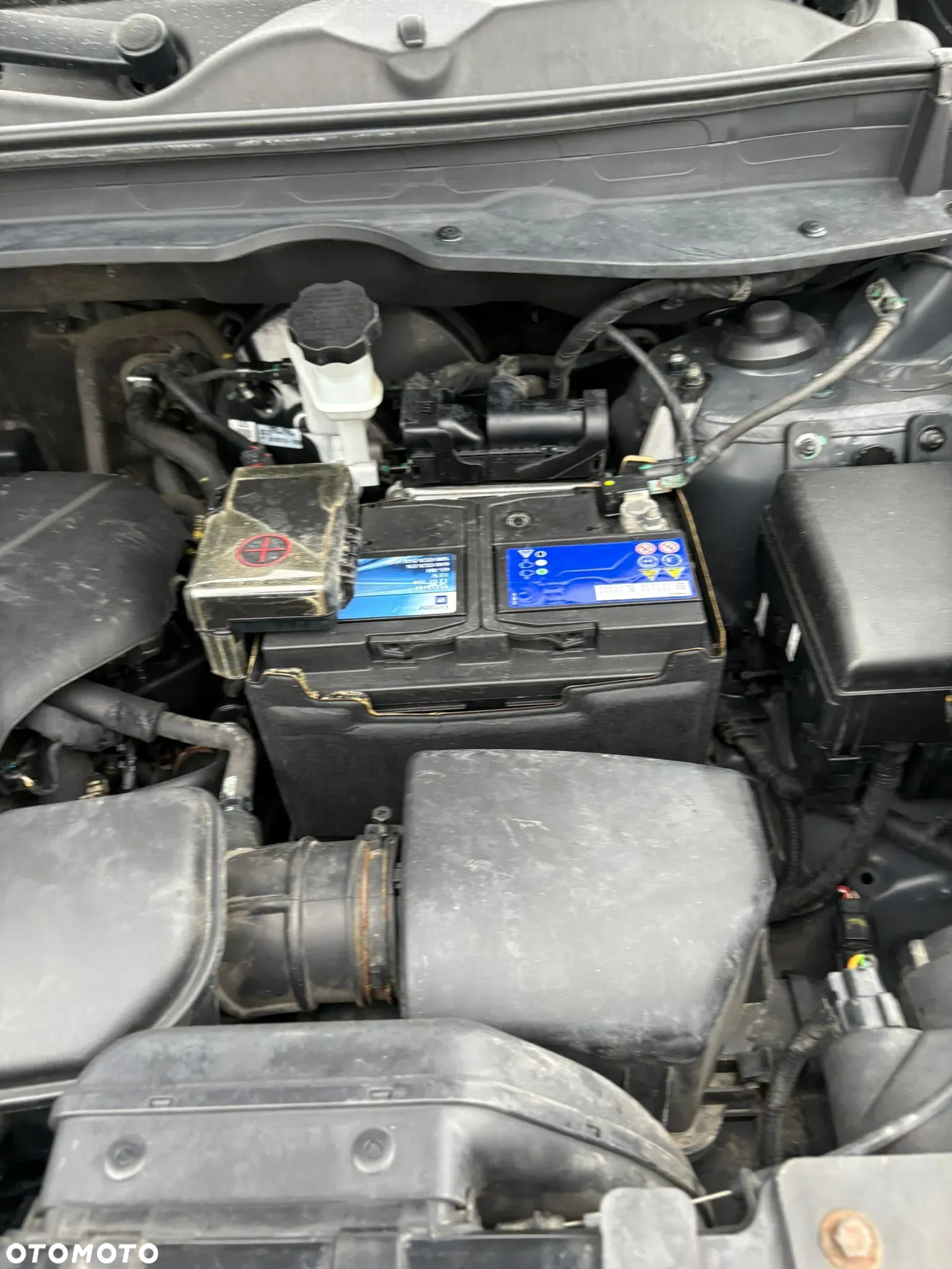 Kia Sportage 1.6 GDI XL 2WD - 25