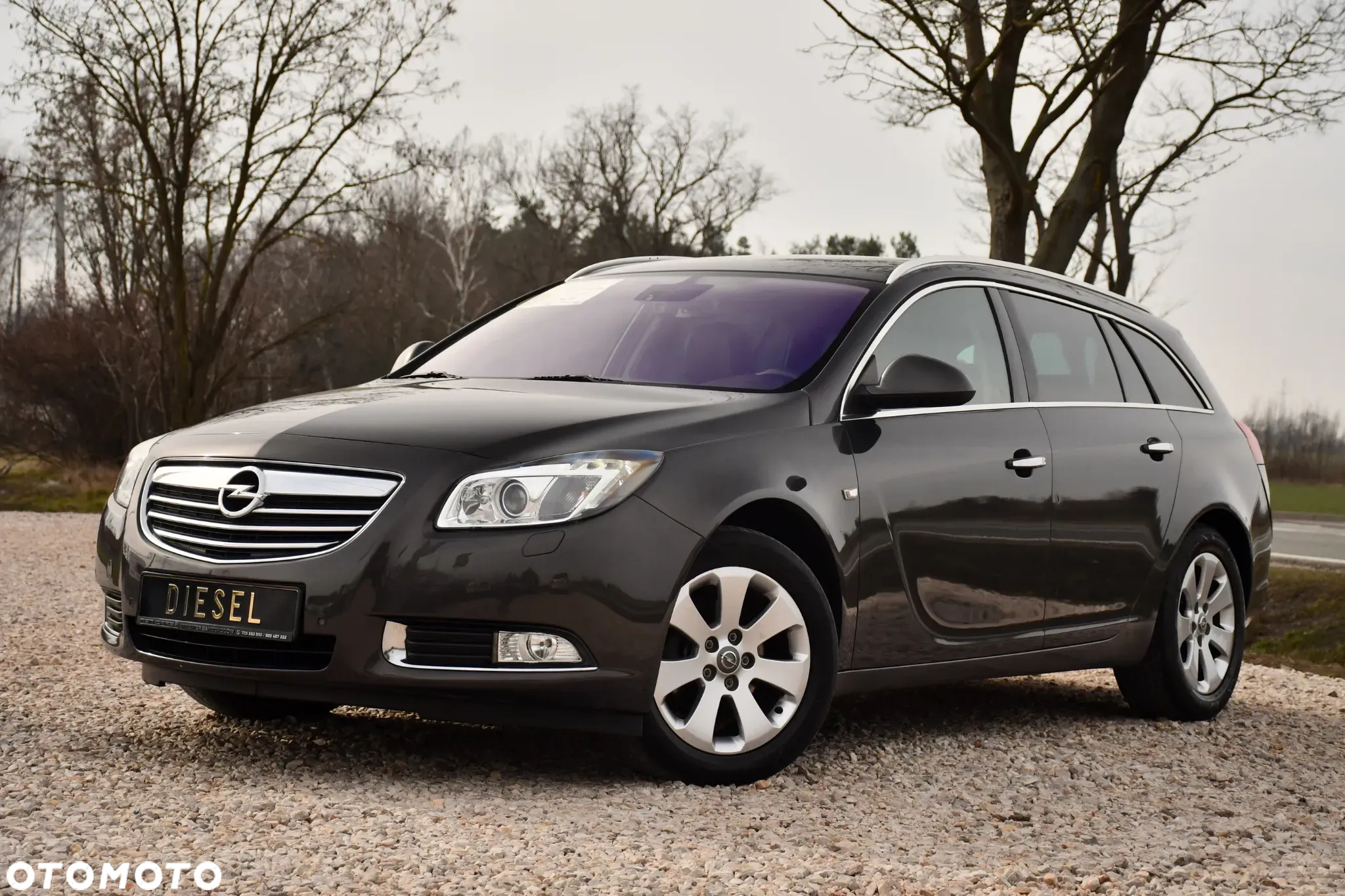 Opel Insignia 2.0 CDTI Cosmo - 12