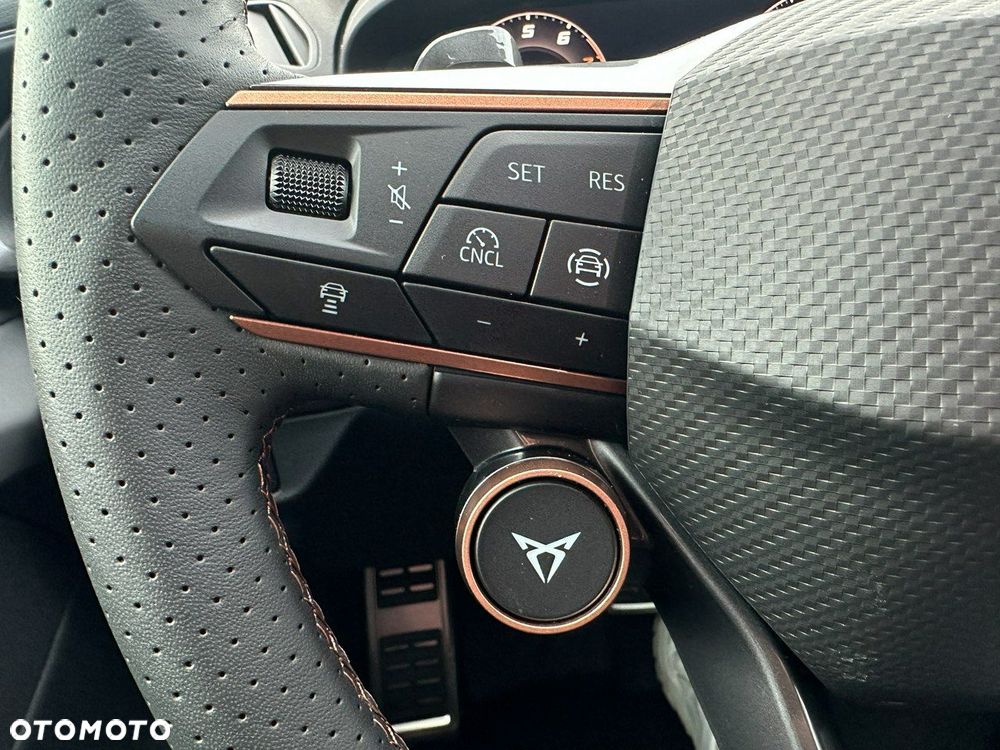 Cupra Terramar - 14
