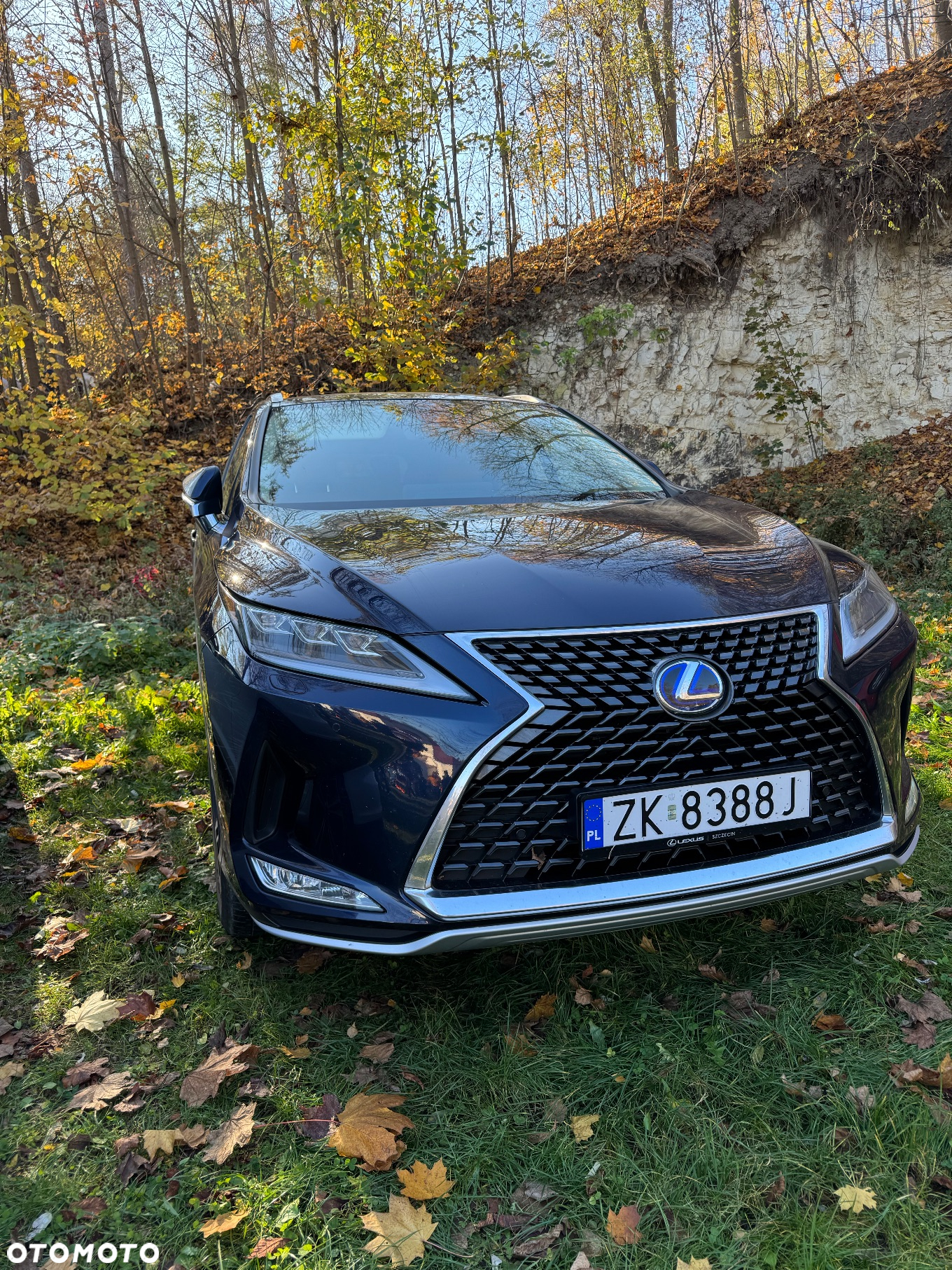 Lexus RX 450h L Business Edition + - 2