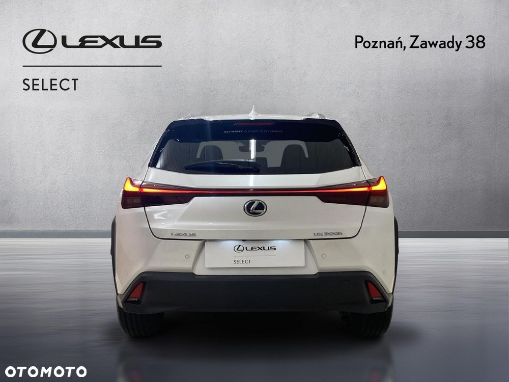 Lexus UX 300h Business - 7