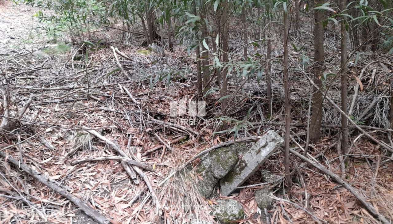 Venda Terreno, Vila Cova, Penafiel - Grande imagem: 2/15