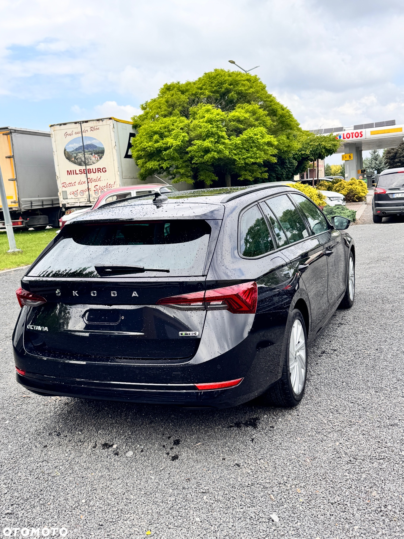 Skoda Octavia Combi 1.4 TSI (Green tec) DSG Ambition - 11