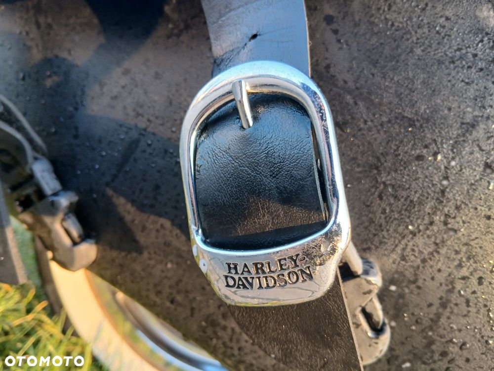 Harley-Davidson Sportster Custom 1200C - 10