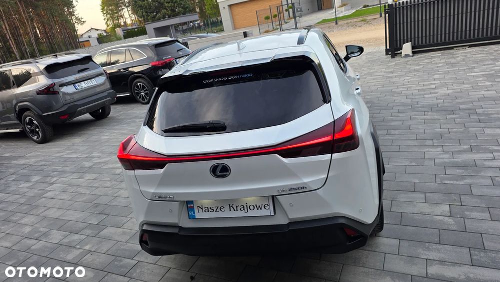 Lexus UX 250h GPF F Impression 2WD - 6