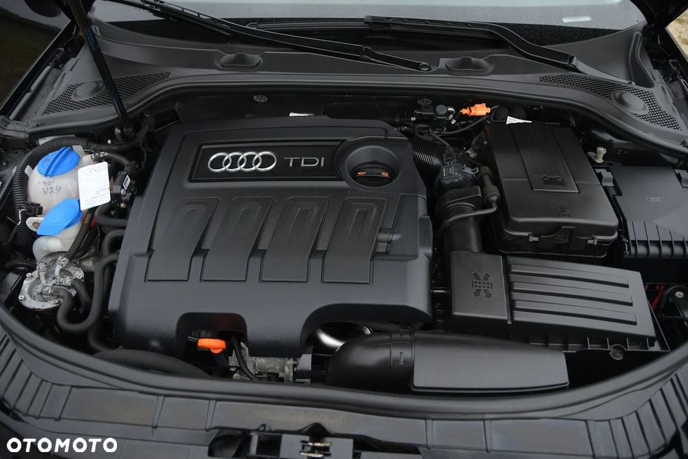 Audi A3 1.6 TDI ultra Attraction - 38