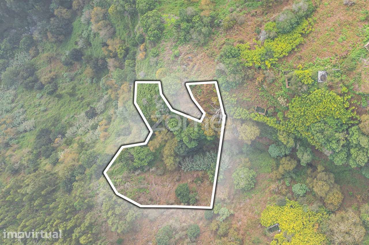 Terreno para venda em Santa Cruz- 1490 m2 - Grande imagem: 4/4