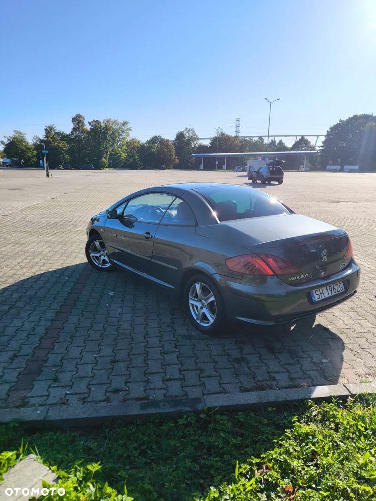 Peugeot 307 CC 2.0 Intense - 7