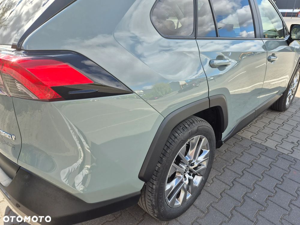 Toyota RAV4 2.5 Hybrid Executive 4x2 - 10