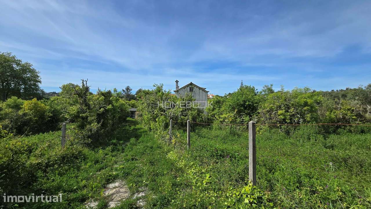 Sintra, Galamares, Quinta com 13.280 m2 - Grande imagem: 4/52