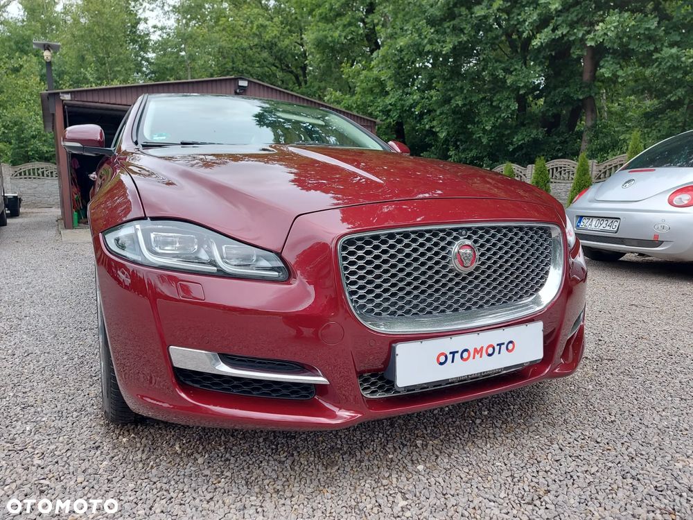 Jaguar XJ 3.0 V6 Premium Luxury - 3