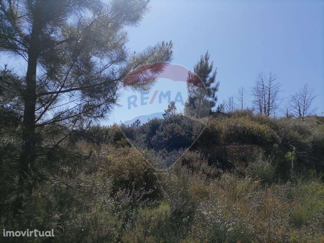 Terreno  para venda - Grande imagem: 4/10