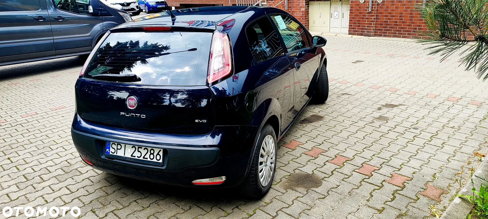 Fiat Punto Evo 1.2 8V Active - 7