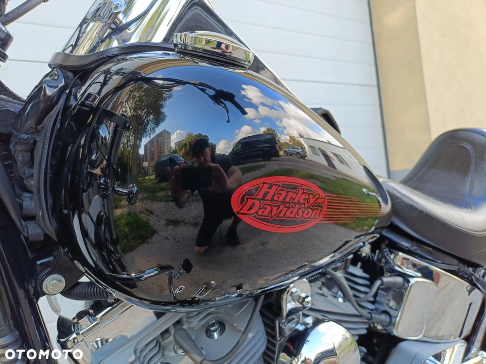 Harley-Davidson Softail Standard - 33
