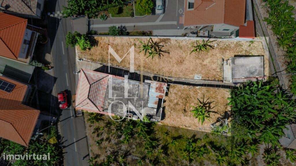 Terreno agrícola com 270m2 situado na Lombada da Ponta do Sol. - Grande imagem: 5/5