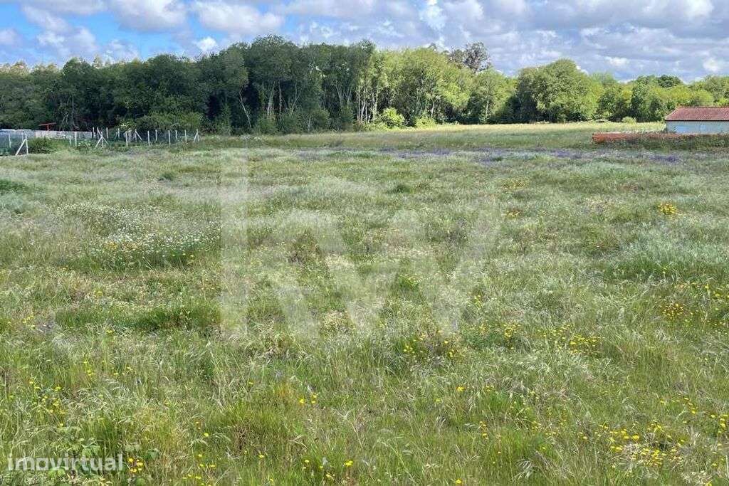 **TERRENO DE 5.050 M² NA MURTOSA COM ÁREA DE CONSTRUÇÃO DELIMITADA** - Grande imagem: 3/13