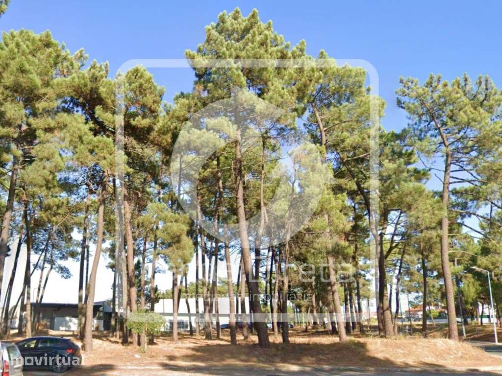 Terreno Urbano para Desenvolvimento Imobiliário | 105 Lotes de Terr... - Grande imagem: 4/21