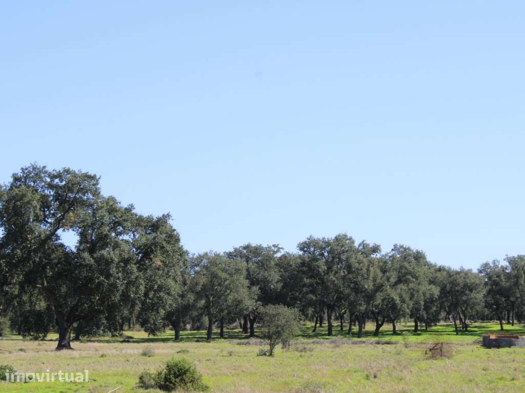 Casa de Campo para Recuperar em Santiago do Cacém - Grande imagem: 5/21