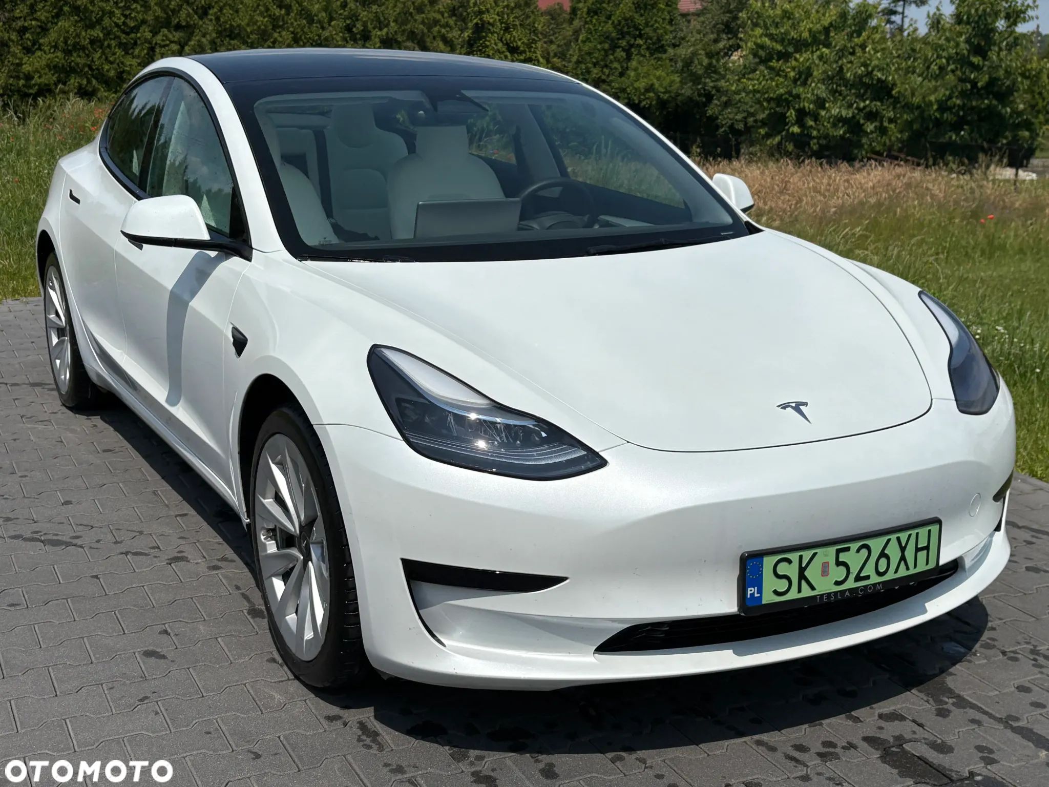 Tesla Model 3 Standard Range Plus - 1