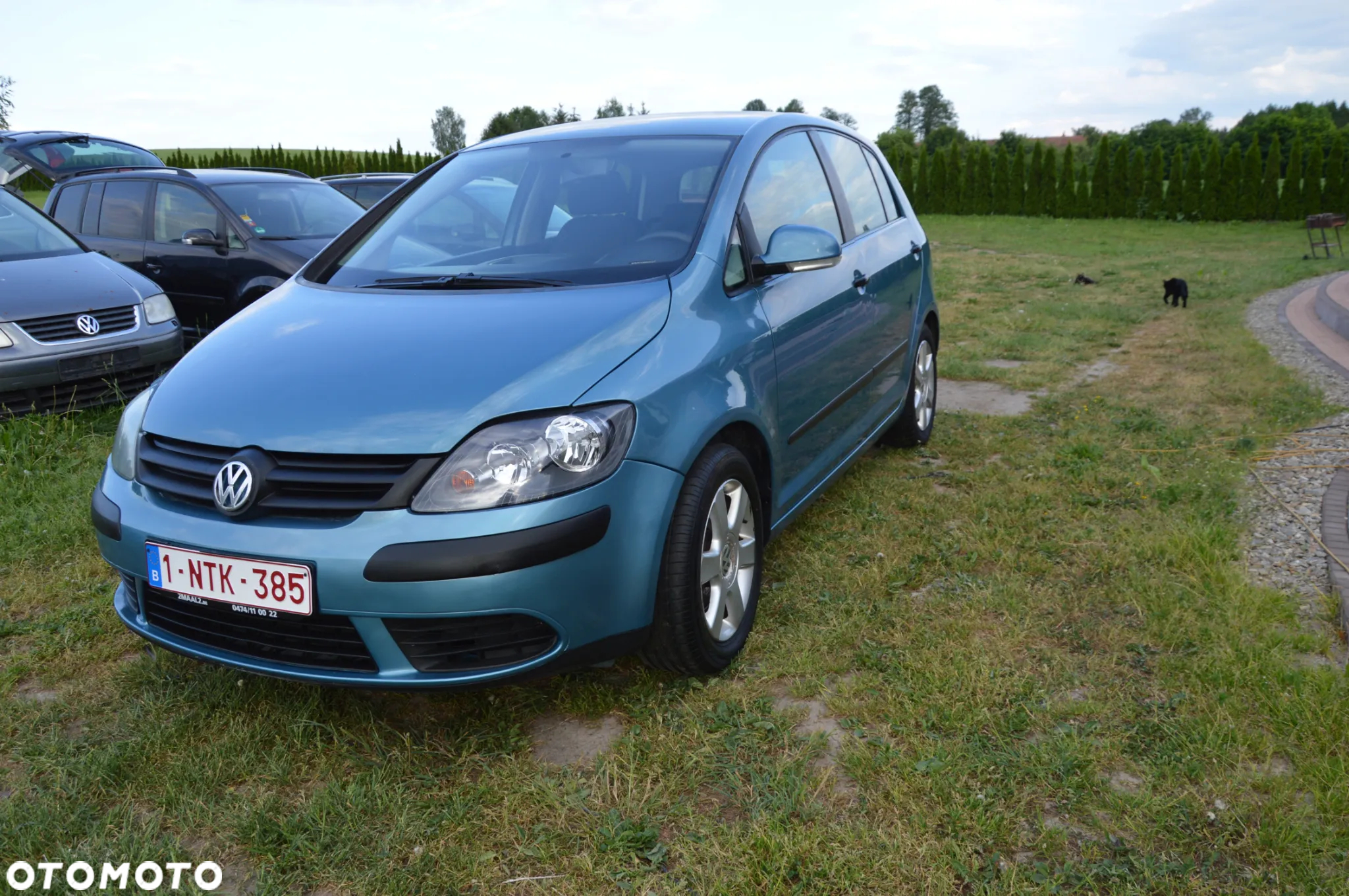 Volkswagen Golf Plus 1.9 TDI Comfortline - 18