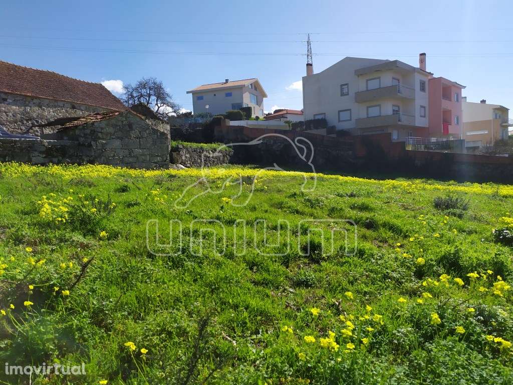Lote Areosa, Viana do Castelo - Grande imagem: 5/10
