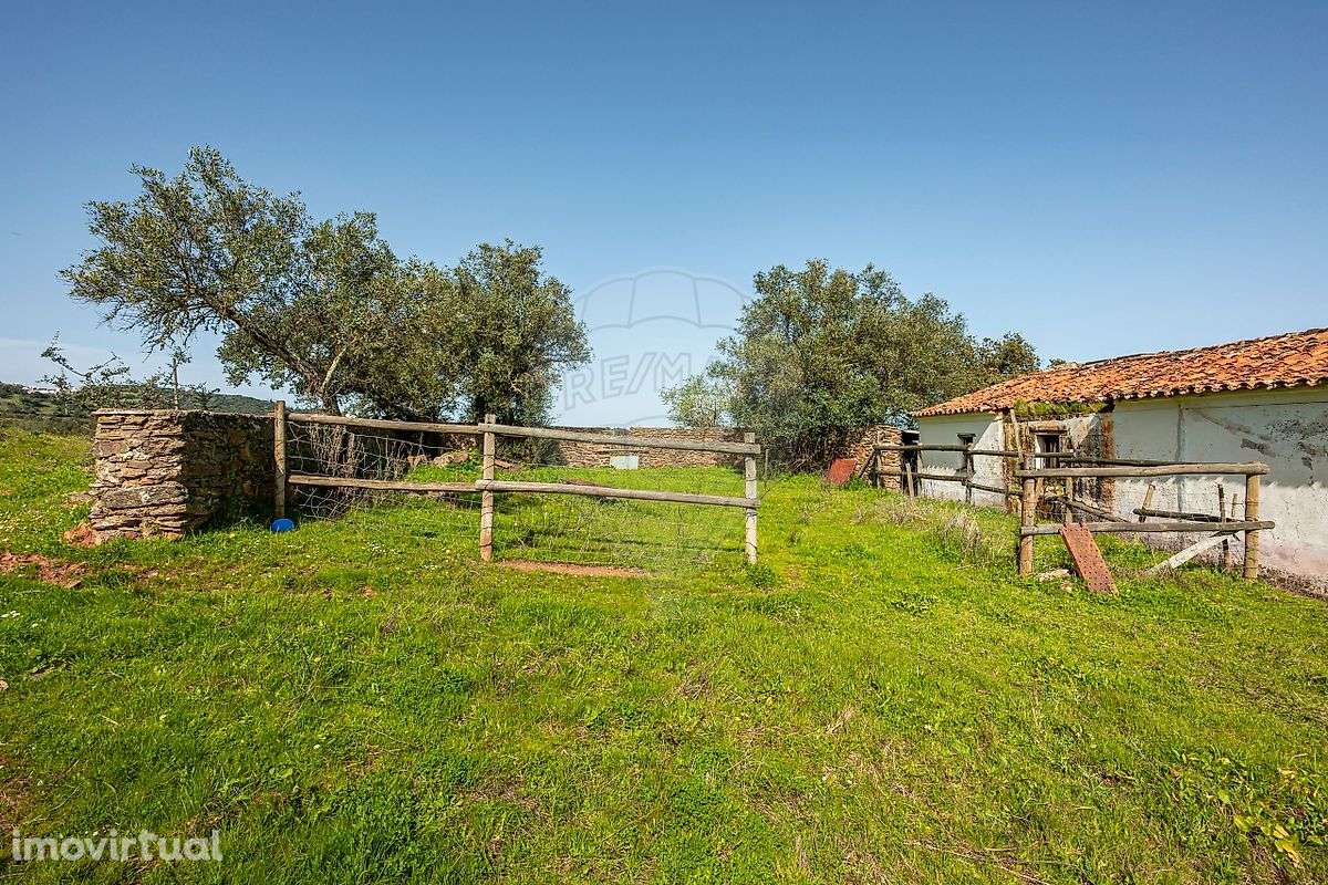 Quinta  para venda - Grande imagem: 5/12