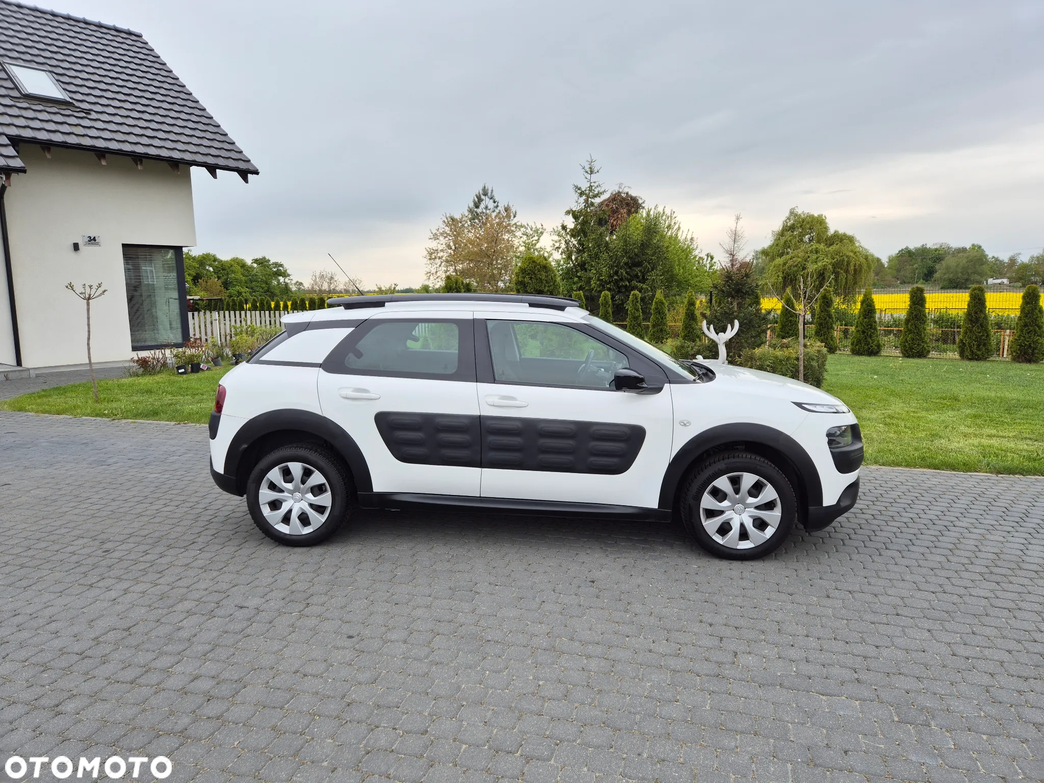 Citroën C4 Cactus 1.2 PureTech Feel Edition - 25