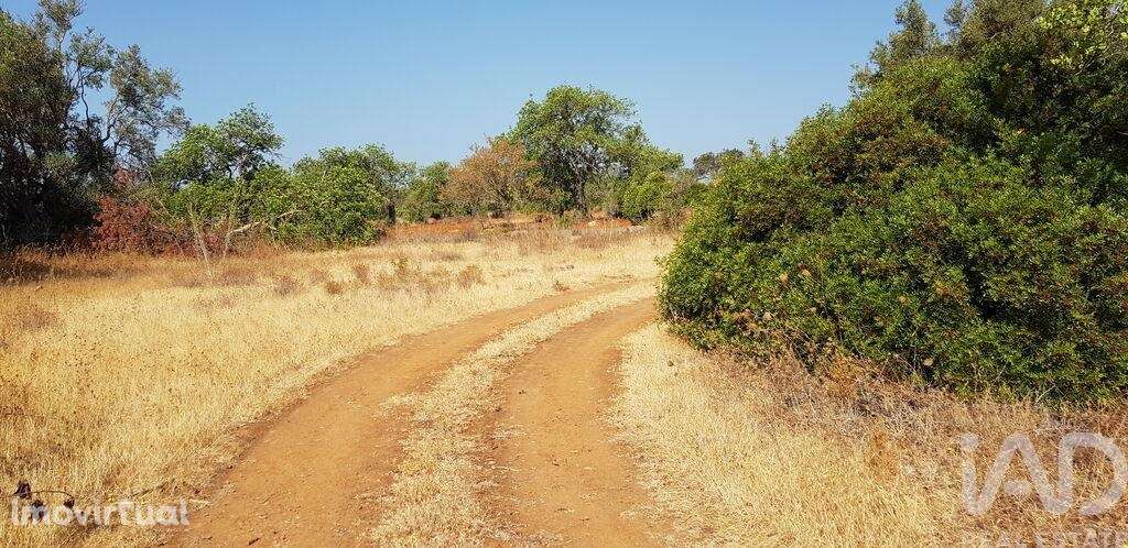 Terreno em Boliqueime de 13750,00 m2 - Grande imagem: 2/6